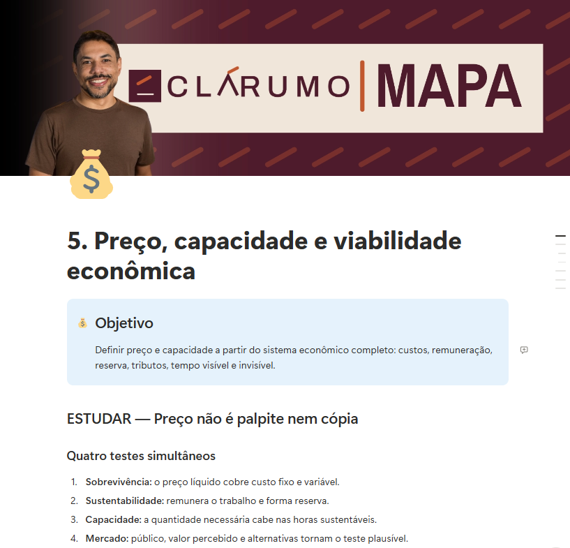 Página no Notion sobre preço, capacidade e viabilidade econômica